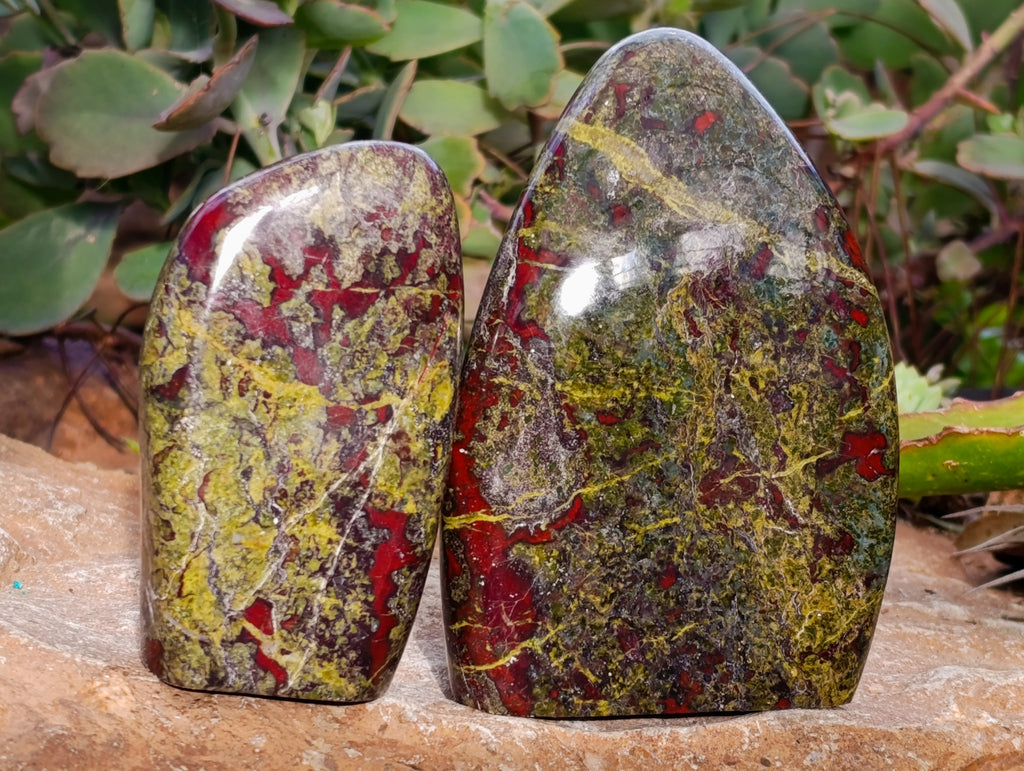 Polished Bastite Dragons Blood Standing Free Forms x 2 From Tshipise, South Africa - Toprock Gemstones and Minerals 