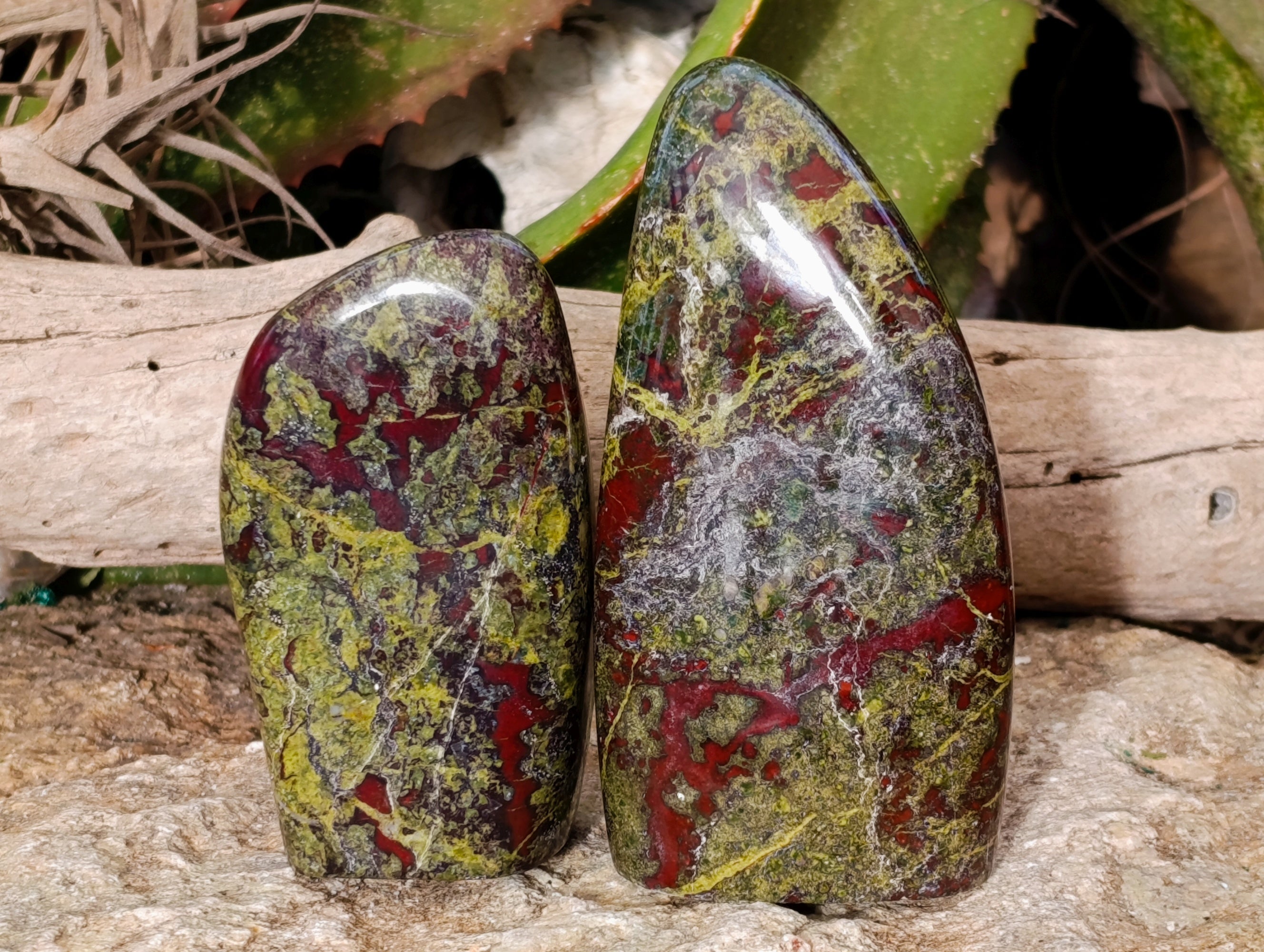 Polished Bastite Dragons Blood Standing Free Forms x 2 From Tshipise, South Africa - Toprock Gemstones and Minerals 