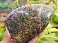 Polished Bastite Dragons Blood Standing Free Forms x 2 From Tshipise, South Africa