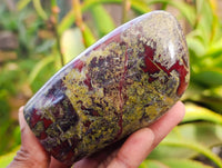 Polished Bastite Dragons Blood Standing Free Forms x 2 From Tshipise, South Africa