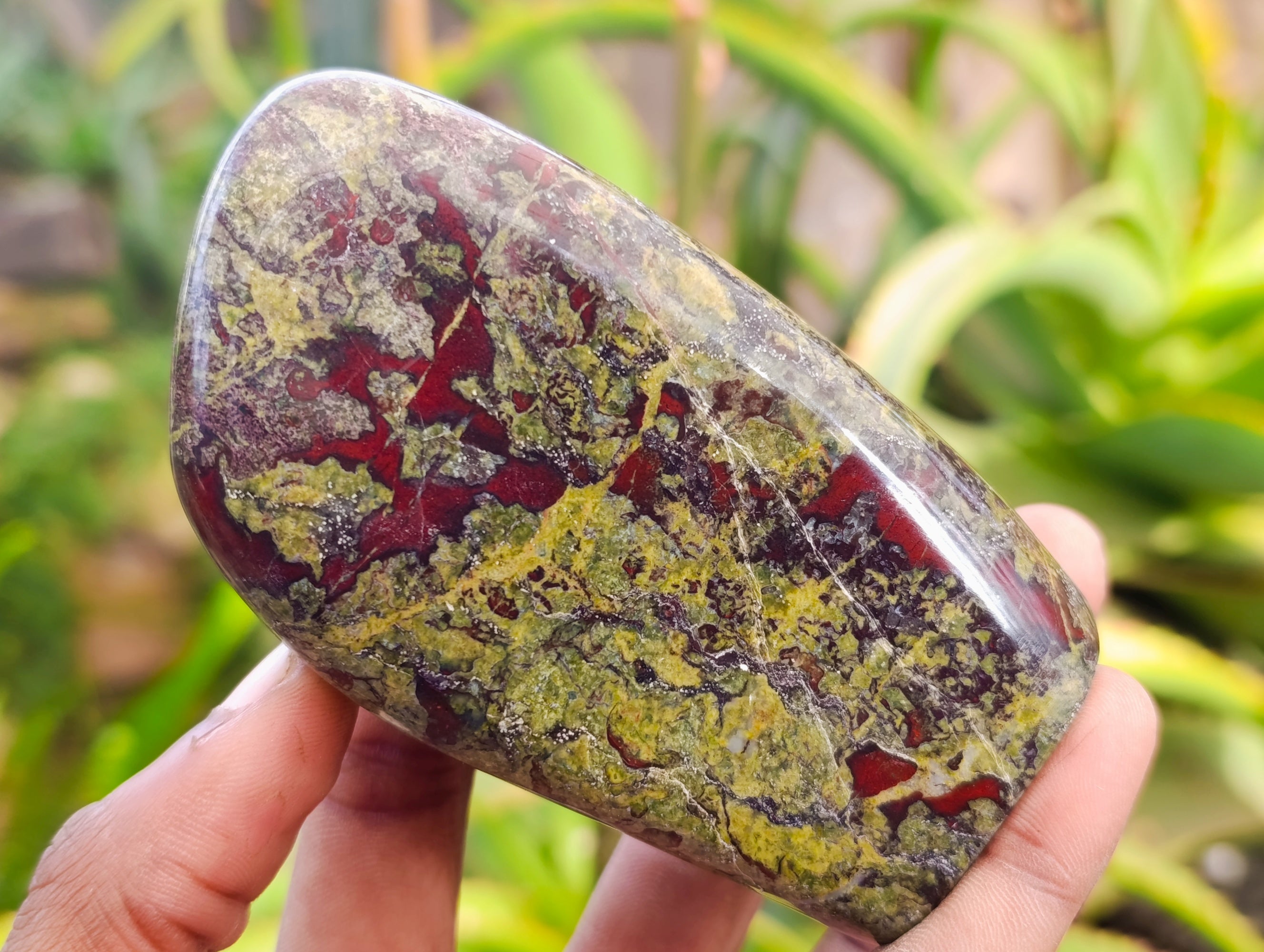 Polished Bastite Dragons Blood Standing Free Forms x 2 From Tshipise, South Africa - Toprock Gemstones and Minerals 