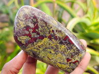 Polished Bastite Dragons Blood Standing Free Forms x 2 From Tshipise, South Africa