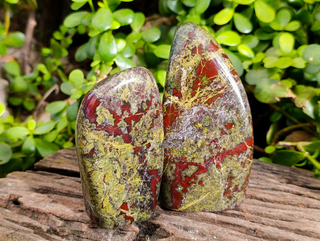 Polished Bastite Dragons Blood Standing Free Forms x 2 From Tshipise, South Africa - Toprock Gemstones and Minerals 