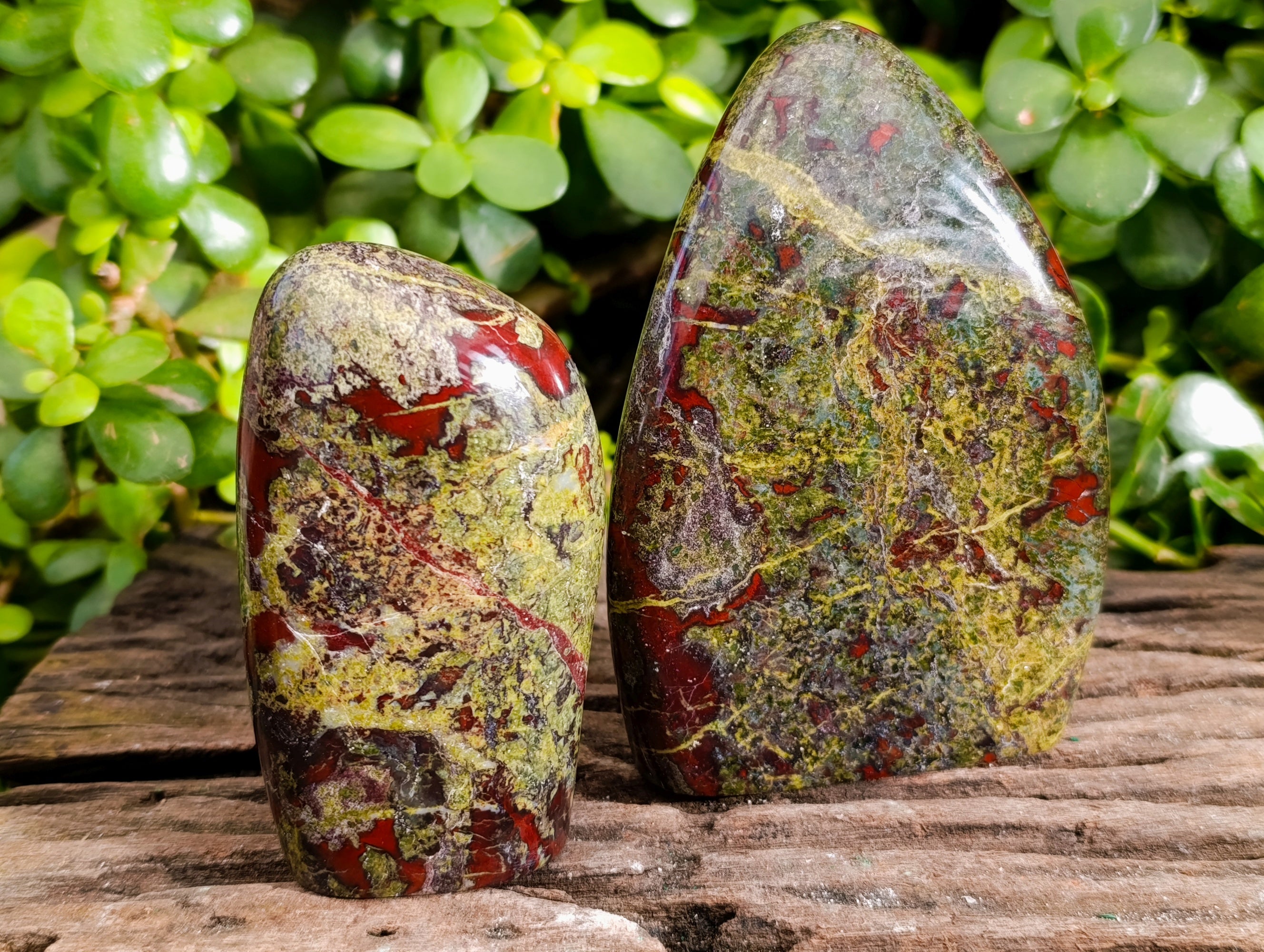 Polished Bastite Dragons Blood Standing Free Forms x 2 From Tshipise, South Africa - Toprock Gemstones and Minerals 