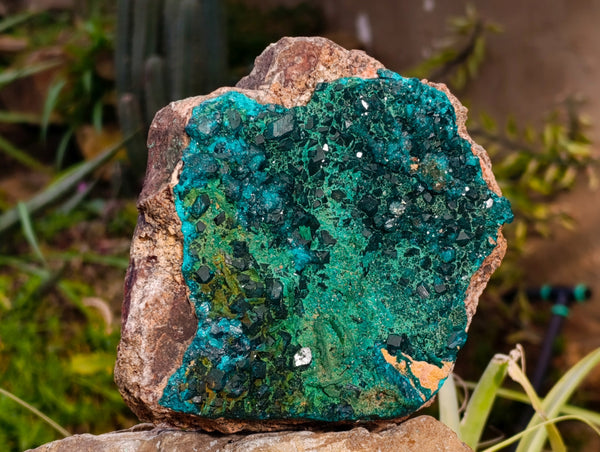 Natural Rare Dioptase and Malachite Specimens x 1 From Likasi, Congo