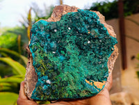 Natural Rare Dioptase and Malachite Specimens x 1 From Likasi, Congo