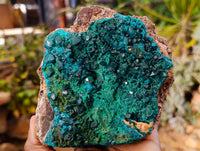 Natural Rare Dioptase and Malachite Specimens x 1 From Likasi, Congo