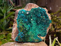 Natural Rare Dioptase and Malachite Specimens x 1 From Likasi, Congo