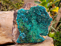 Natural Rare Dioptase and Malachite Specimens x 1 From Likasi, Congo