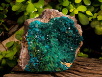 Natural Rare Dioptase and Malachite Specimens x 1 From Likasi, Congo