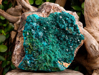 Natural Rare Dioptase and Malachite Specimens x 1 From Likasi, Congo