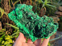 Natural Silky Malachite Specimens x 3 From Kasompe, Congo - Toprock Gemstones and Minerals 