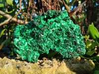 Natural Silky Malachite Specimens x 3 From Kasompe, Congo - Toprock Gemstones and Minerals 