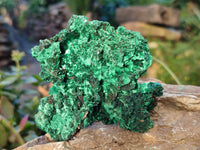 Natural Silky Malachite Specimens x 3 From Kasompe, Congo - Toprock Gemstones and Minerals 