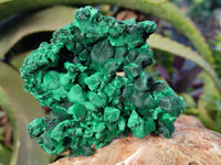 Natural Silky Malachite Specimens x 3 From Kasompe, Congo - Toprock Gemstones and Minerals 