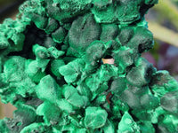Natural Silky Malachite Specimens x 3 From Kasompe, Congo - Toprock Gemstones and Minerals 