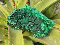 Natural Silky Malachite Specimens x 3 From Kasompe, Congo - Toprock Gemstones and Minerals 