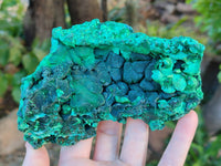 Natural Silky Malachite Specimens x 3 From Kasompe, Congo - Toprock Gemstones and Minerals 
