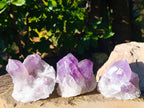 Natural Jacaranda Amethyst Quartz Cluster x 3 From Mumbwa, Zambia - Toprock Gemstones and Minerals 