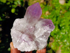 Natural Jacaranda Amethyst Quartz Cluster x 3 From Mumbwa, Zambia - Toprock Gemstones and Minerals 