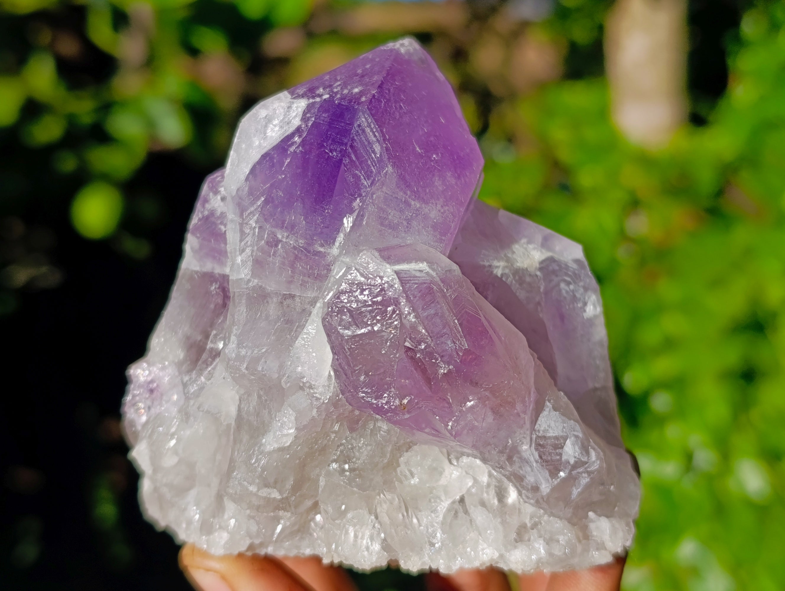 Natural Jacaranda Amethyst Quartz Cluster x 3 From Mumbwa, Zambia - Toprock Gemstones and Minerals 