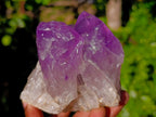 Natural Jacaranda Amethyst Quartz Cluster x 3 From Mumbwa, Zambia - Toprock Gemstones and Minerals 