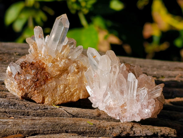 Natural Small White Quartz Clusters x 47 From Madagascar - Toprock Gemstones and Minerals 