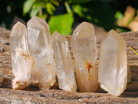 Natural Small White Quartz Clusters x 47 From Madagascar - Toprock Gemstones and Minerals 