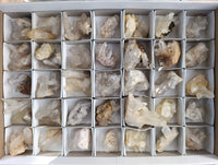Natural Small White Quartz Clusters x 47 From Madagascar - Toprock Gemstones and Minerals 
