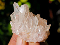 Natural Small White Quartz Clusters x 47 From Madagascar - Toprock Gemstones and Minerals 
