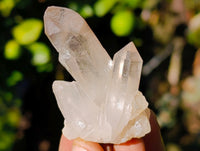 Natural Small White Quartz Clusters x 47 From Madagascar - Toprock Gemstones and Minerals 