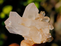 Natural Small White Quartz Clusters x 47 From Madagascar - Toprock Gemstones and Minerals 