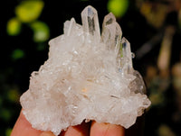 Natural Small White Quartz Clusters x 47 From Madagascar - Toprock Gemstones and Minerals 