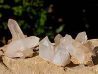 Natural Small White Quartz Clusters x 47 From Madagascar - Toprock Gemstones and Minerals 