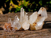 Natural Small White Quartz Clusters x 47 From Madagascar - Toprock Gemstones and Minerals 