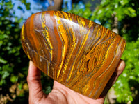 Polished Golden River Tigers Eye Standing Free Forms x 2 From Prieska, South Africa - Toprock Gemstones and Minerals 