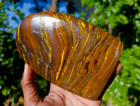 Polished Golden River Tigers Eye Standing Free Forms x 2 From Prieska, South Africa - Toprock Gemstones and Minerals 