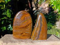 Polished Golden River Tigers Eye Standing Free Forms x 2 From Prieska, South Africa - Toprock Gemstones and Minerals 