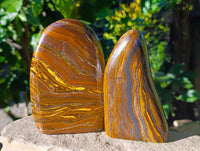 Polished Golden River Tigers Eye Standing Free Forms x 2 From Prieska, South Africa - Toprock Gemstones and Minerals 