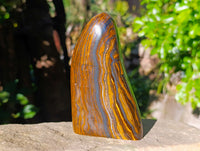 Polished Golden River Tigers Eye Standing Free Forms x 2 From Prieska, South Africa - Toprock Gemstones and Minerals 