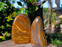 Polished Golden River Tigers Eye Standing Free Forms x 2 From Prieska, South Africa - Toprock Gemstones and Minerals 