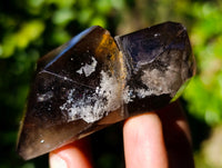 Polished Mix of Clear and Smokey Quartz Crystals x 12 From Ambatondrazaka, Madagascar - Toprock Gemstones and Minerals 