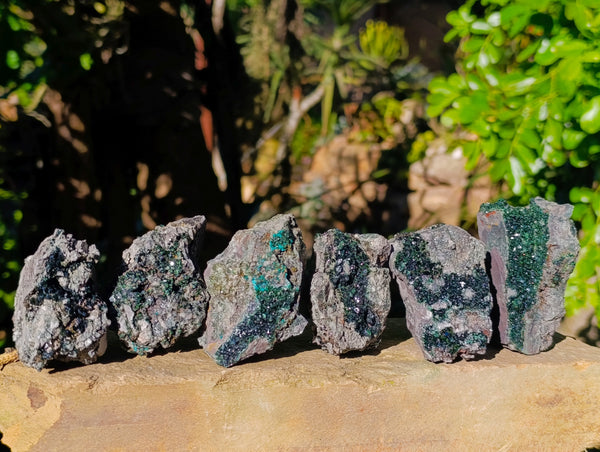Natural Libethenite Crystals On Dolomite Matrix Specimens x 6 From Shituru, Congo
