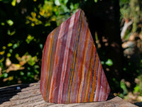 Polished Banded Tiger Iron Points x 2 From Northern Cape, South Africa - Toprock Gemstones and Minerals 