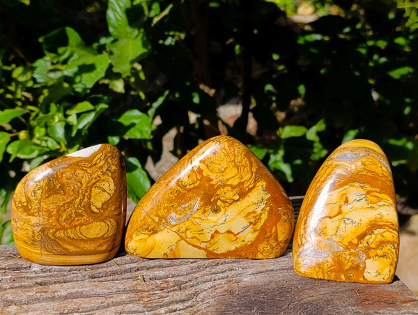 Polished Picture Stone Jasper Standing Free Forms x 3 From Ais-Ais, Namibia
