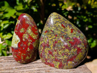 Polished Bastite Dragons Blood Stone Standing Free Forms x 2 From Tshipise, South Africa - Toprock Gemstones and Minerals 