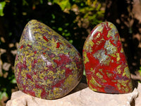 Polished Bastite Dragons Blood Stone Standing Free Forms x 2 From Tshipise, South Africa - Toprock Gemstones and Minerals 