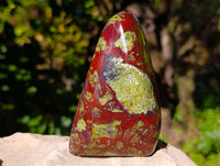 Polished Bastite Dragons Blood Stone Standing Free Forms x 2 From Tshipise, South Africa - Toprock Gemstones and Minerals 