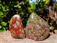Polished Bastite Dragons Blood Stone Standing Free Forms x 2 From Tshipise, South Africa - Toprock Gemstones and Minerals 