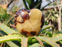 Polished Septerye Hearts x 12 From Mahajanga, Madagascar
